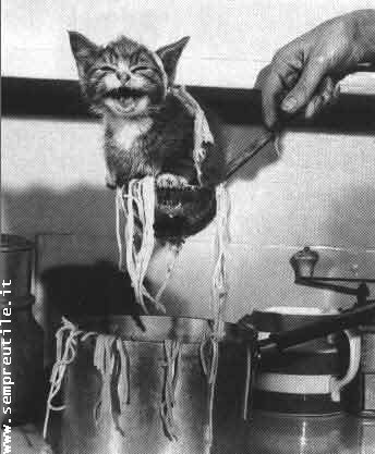 animali_63.jpg